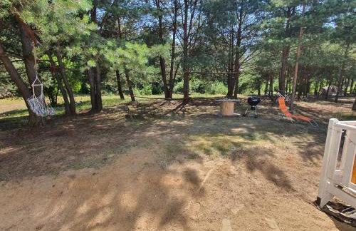 Holenderki na Zielonych Wzgórzach, Łowyń - Foto 12