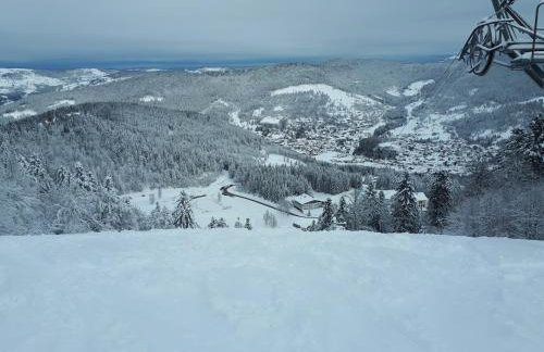 le petit ballon - Foto 11