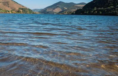 Quinta das Amendoeiras - Foto 44