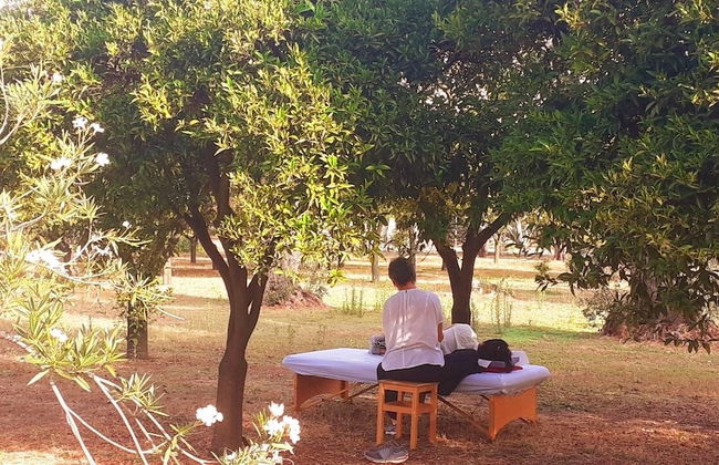 Agriturismo Villa Coluccia - Foto 60