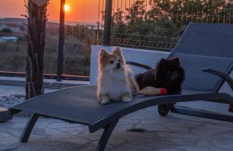 Villa Alacinda - Foto 44