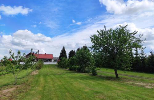 Agroturystyka Kobylnica nad Wisłą - Foto 59