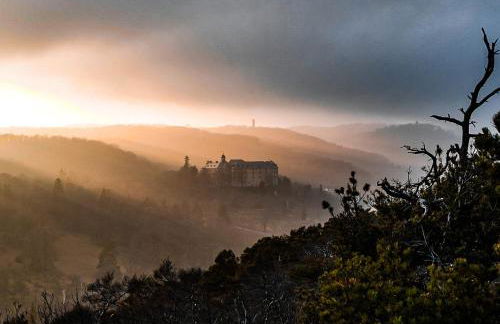 Stadtvilla Haug die exklusiven Ferienwohnungen im Harz - Foto 39