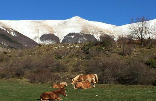 Casa Sperandini - Foto 35