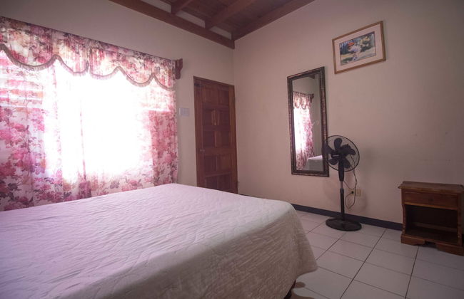 Rainbow Hill - Photo 10