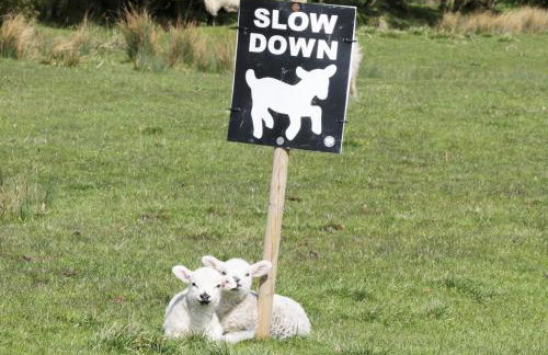 Kitchen Cottage - Photo 15