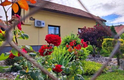 Kuća za odmor Vuković - Foto 21