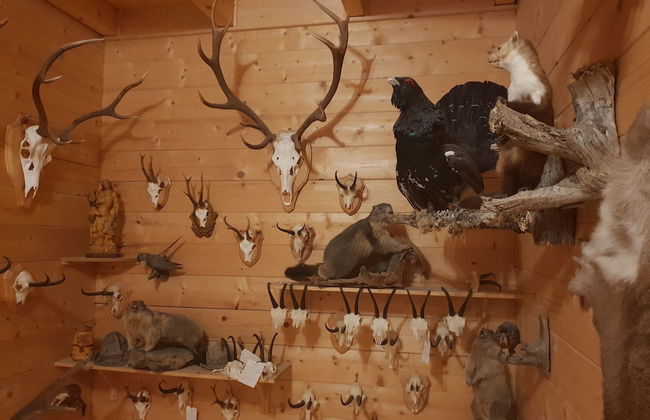 Appartementhaus Gugganig - Photo 61