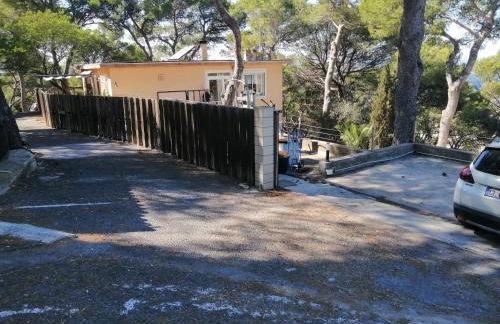 Aqui siem ben - Photo 4