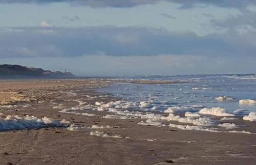 Haus Delphin - Foto 9