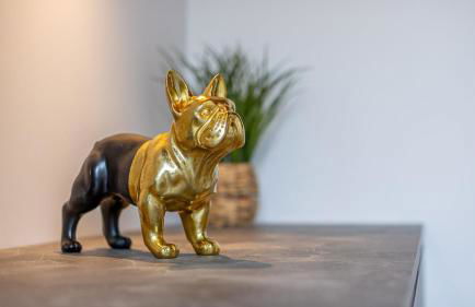 Le Dauphiné 2 - Allevard - Foto 33