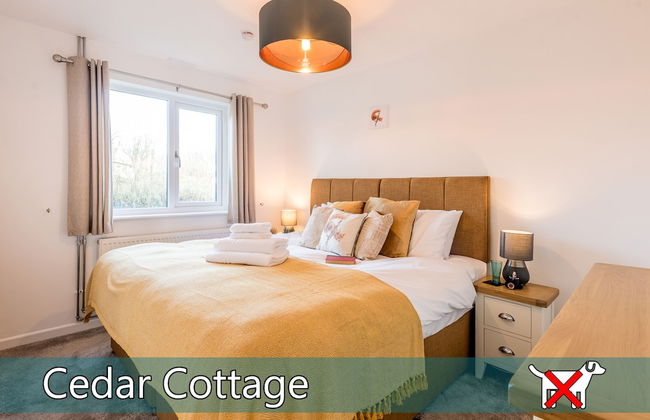 St. Tinney Farm - Photo 44