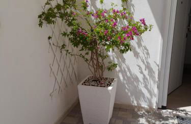 VILLA BELSITO - Foto 27