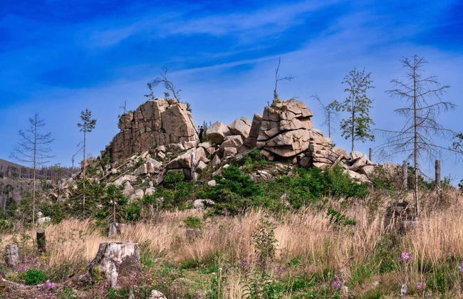 Ferienhaus in Schierke mit Garten - Foto 39