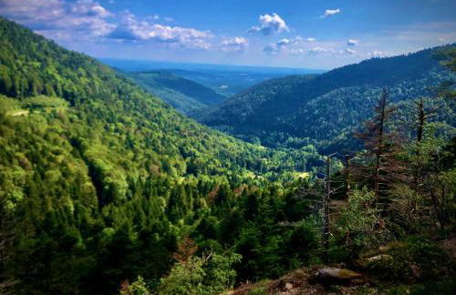 Le Giromagite au pied du Ballon d'Alsace - Foto 22