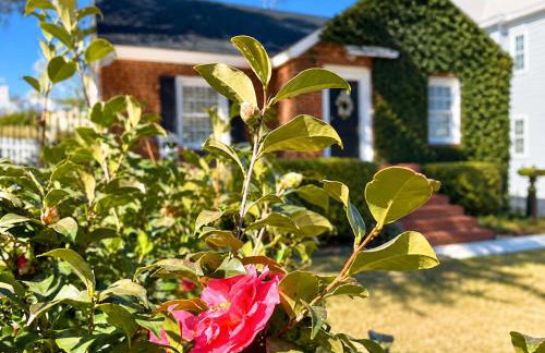 Camellia: Historic Summerville, Medical District - Foto 21