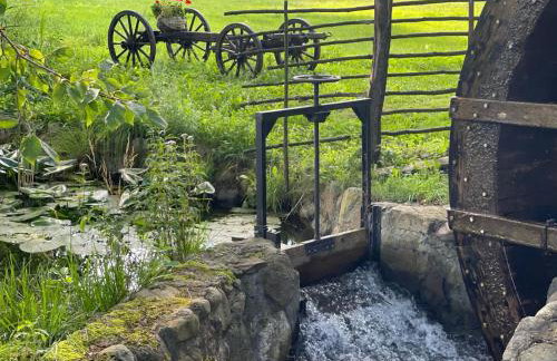 LEŚNY KĄCIK - Foto 28