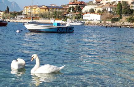 Appartamenti Casa Nina, lago,montagne, uliveti - Foto 17