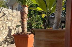 Manousos Guest House - Foto 19