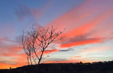 Casa Rubito el Olmo - Foto 12