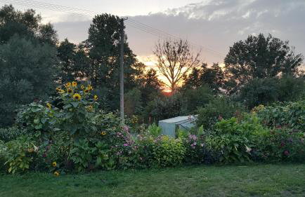 Zielone Zacisze Zwola - Foto 28