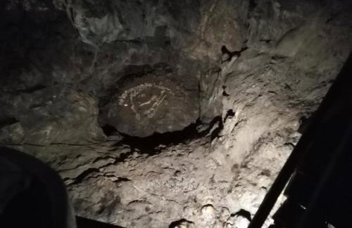 Apartman Domi - Foto 28