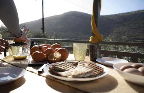 Elaia Rest House Retreat in nature - Foto 47