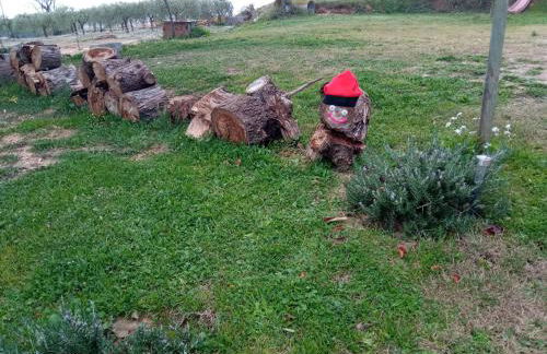 Romegosa Benestar - Foto 59