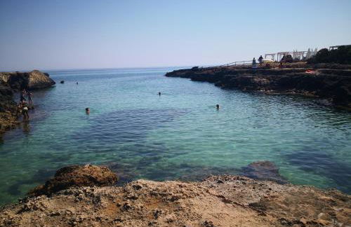 Agriturismo Salinola - Foto 106