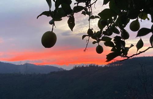 Casa do Ferreiro - Bocado Arganil - Foto 59