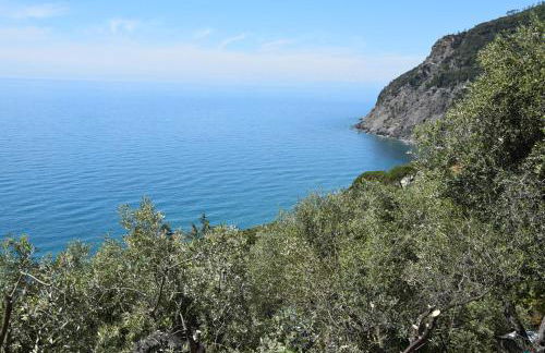 Corner of Paradise near Cinque Terre - Foto 5