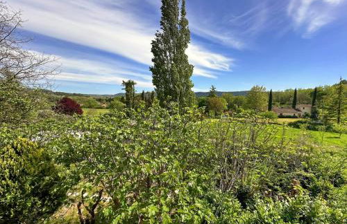 Villa familiale avec studio et piscine, Villecroze - Foto 3