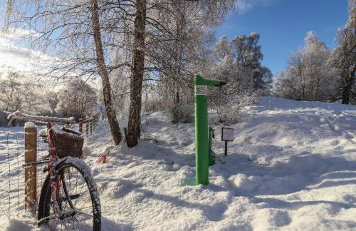 Osprey Apartment - Foto 30