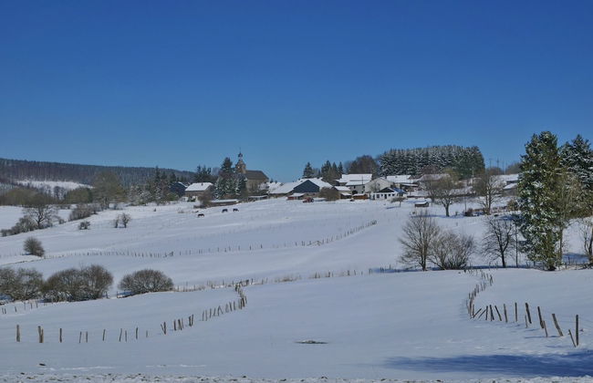 Holiday Home in Vielsalm With Lake View - Foto 34