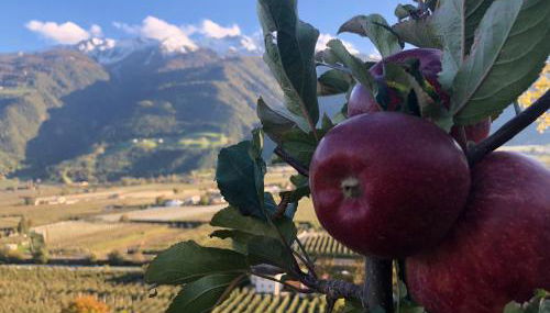 Haus Talblick "Wallbug" Ferienwohnung 1 - Foto 4