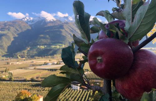 Haus Talblick "Wallbug" Ferienwohnung 1 - Foto 4