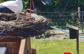 Ferienwohnung Annett - Foto 22