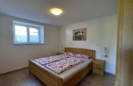 Ferienhof Metzler - Foto 63