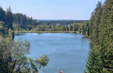 FeWo Waldseeblick Hahnenklee - Foto 17