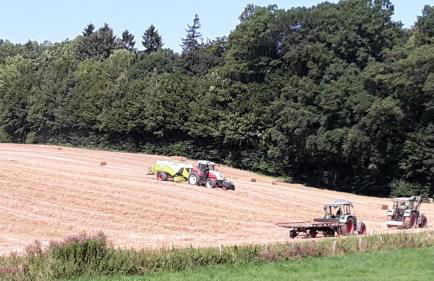 Gemütliche Fewo auf dem Resthof - Foto 17