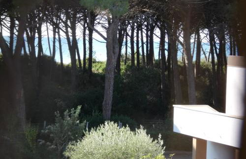 Appartamenti Manuela 2 - Foto 13