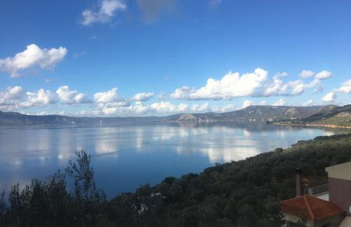 Aegean Blue Villa - Photo 23