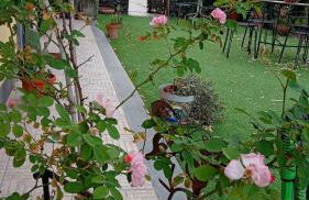 Ai 4 gatti - Foto 18