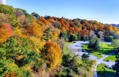 Modern Studio Oasis with High End Amenities - Photo 5