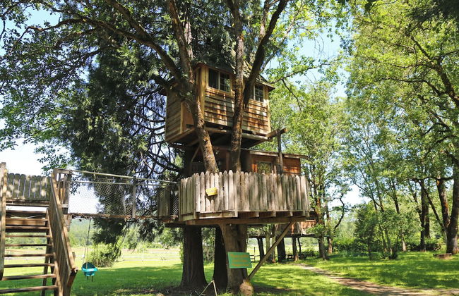 Out 'N' About Treehouse Treesort - Photo 10