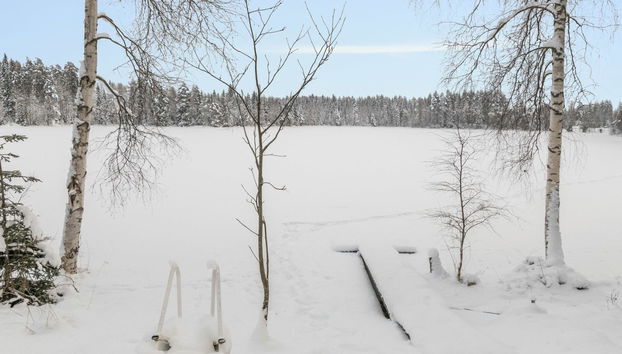 Taimisto - Foto 5, Inside other