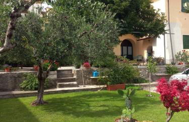 Giardino Fiorito - Foto 2