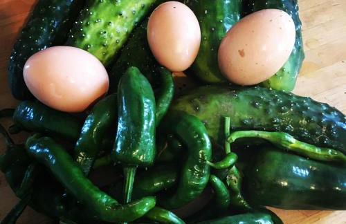 La Clé de Taulé - Foto 75