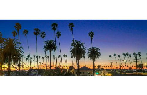 Peace Palace 56 - Foto 59