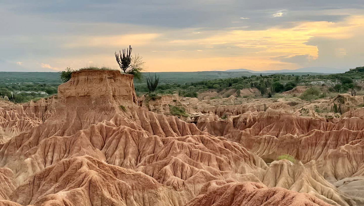 Day Trip to Tatacoa Desert + Stargazing